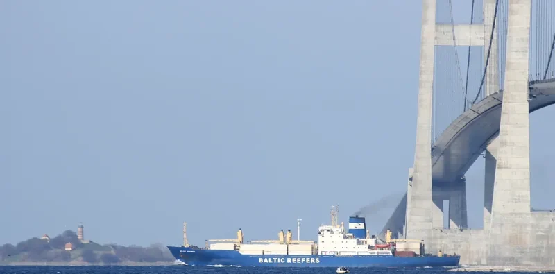 BALTIC MARINER General Cargo IMO 7710903 photo 6