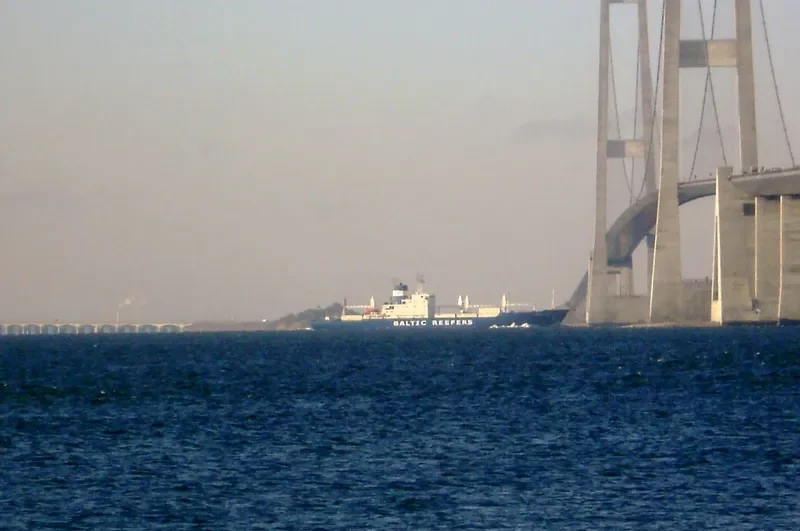 BALTIC MELODY General Cargo IMO 7710915 photo 5