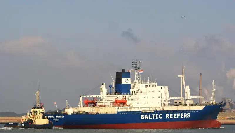 BALTIC MELODY General Cargo IMO 7710915 photo 10