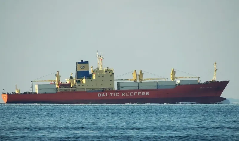 BALTIC MERIDIAN General Cargo IMO 7710927 photo 8