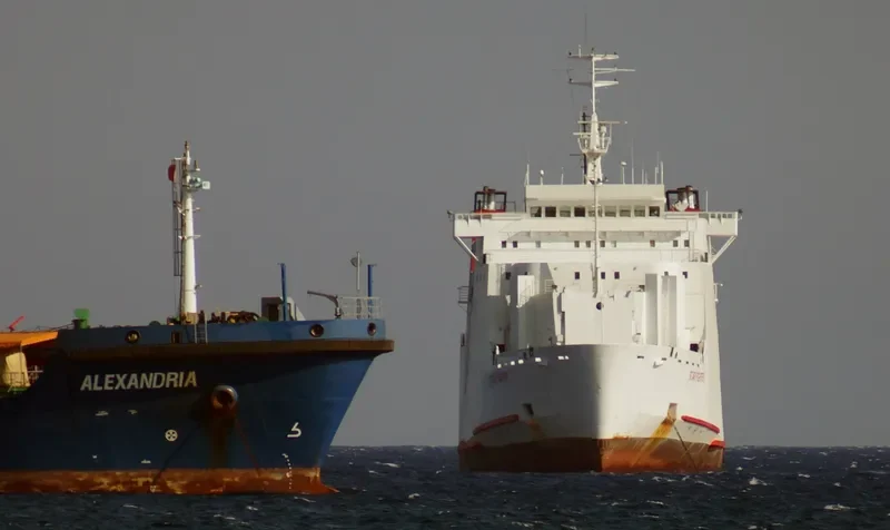 STAR FIGHTER Ro-Ro IMO 7711139 photo 3