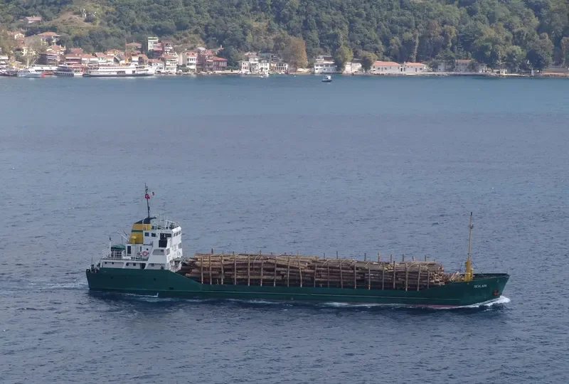SEALARK General Cargo IMO 7711402 photo 3