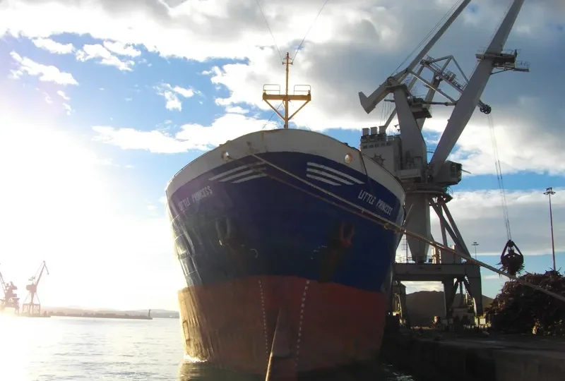 LITTLE PRINCESS General Cargo IMO 7712042 photo 3