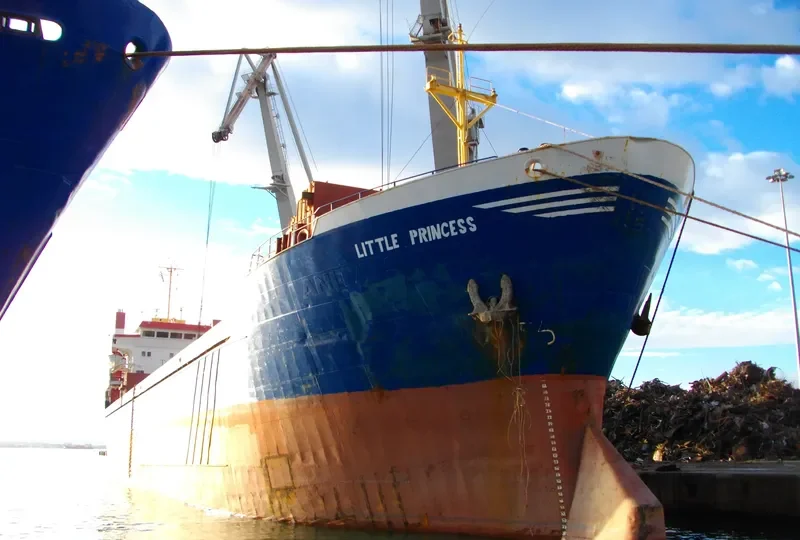 LITTLE PRINCESS General Cargo IMO 7712042 photo 4