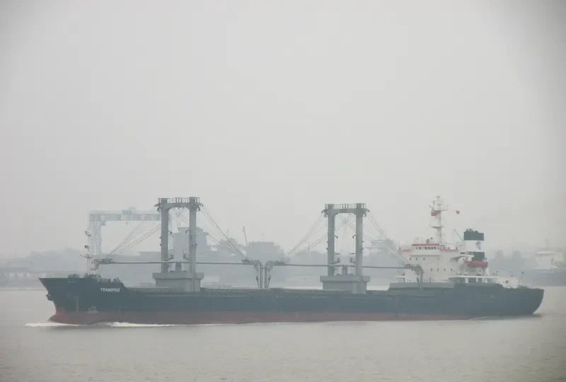 TEAMPRO Bulk Carrier IMO 7712640