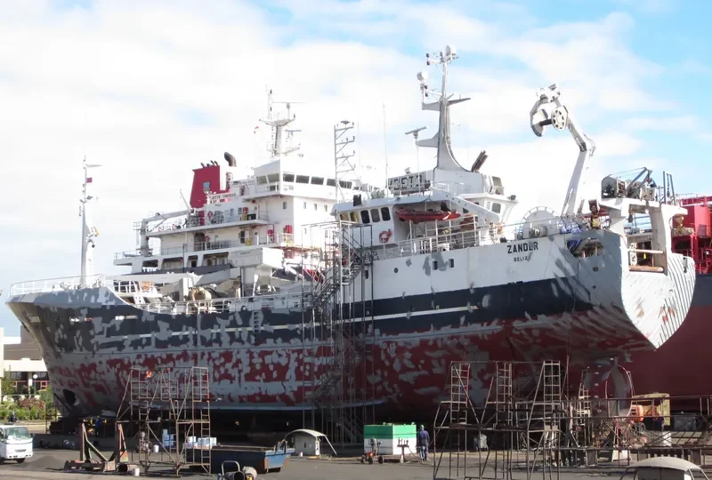 DEWAS 1 General Cargo IMO 7712767