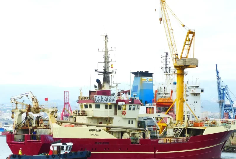 VIKINGBANK General Cargo IMO 7713008 photo 2