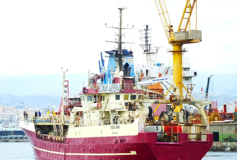 VIKINGBANK General Cargo IMO 7713008 photo 3