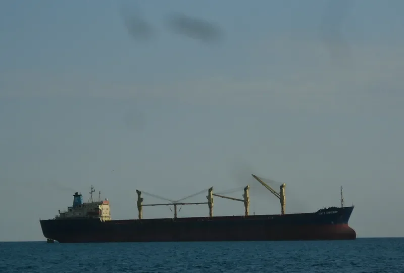 NATS EMPEROR Bulk Carrier IMO 7713125 photo 5