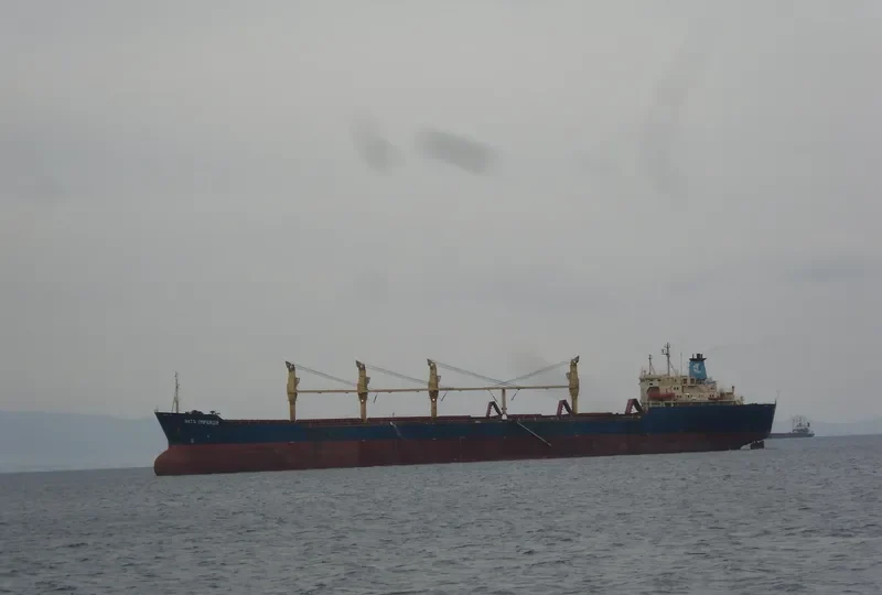 NATS EMPEROR Bulk Carrier IMO 7713125 photo 6