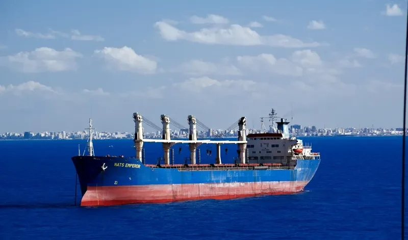 NATS EMPEROR Bulk Carrier IMO 7713125 photo 10