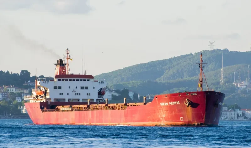 KIRAN PACIFIC Bulk Carrier IMO 7713149 photo 7
