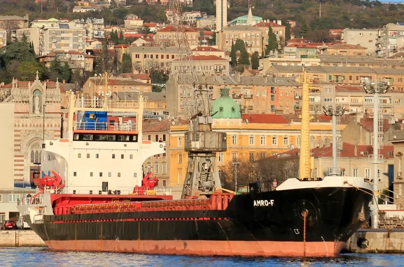 MED MERMAID General Cargo IMO 7713278 photo 6