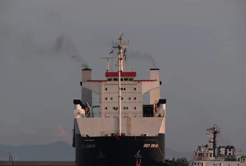 DUCKY SYMPHONY Ro-Ro IMO 7713280 photo 2