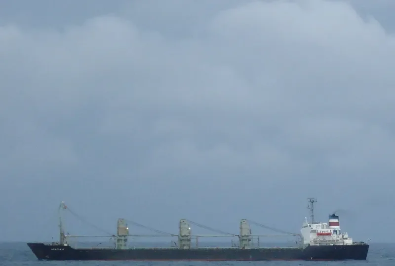 ACACIA N Bulk Carrier IMO 7713838