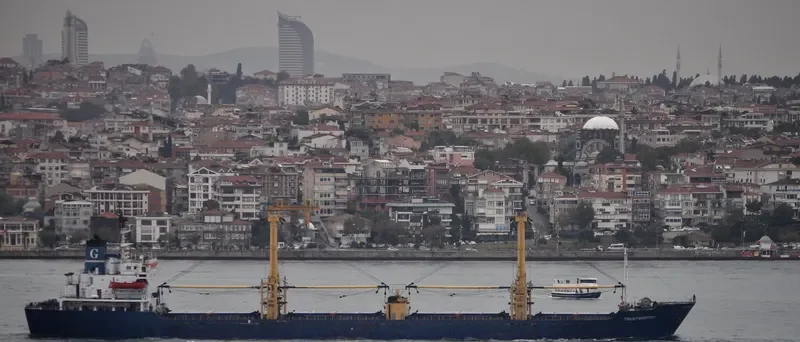TRUSTWORTHY Bulk Carrier IMO 7713876 photo 2