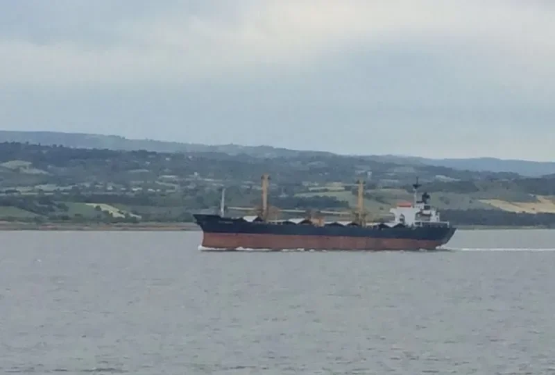 TRUSTWORTHY Bulk Carrier IMO 7713876 photo 4