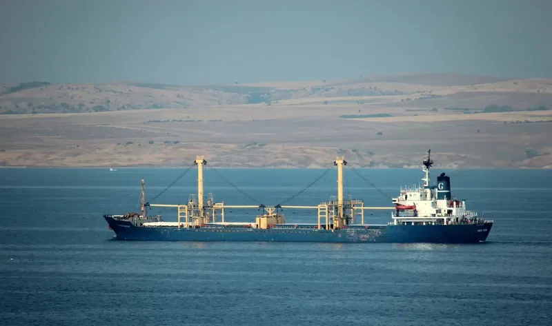 TRUSTWORTHY Bulk Carrier IMO 7713876 photo 8