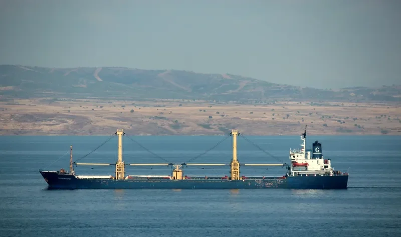 TRUSTWORTHY Bulk Carrier IMO 7713876 photo 9