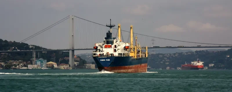 TRUSTWORTHY Bulk Carrier IMO 7713876 photo 10
