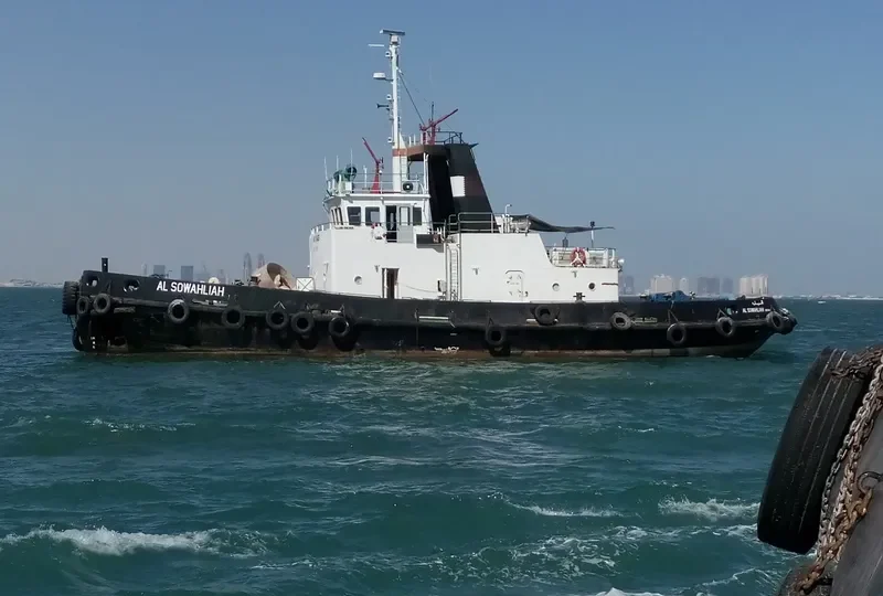 MWANI QATAR 7 General Cargo IMO 7714026 photo 4