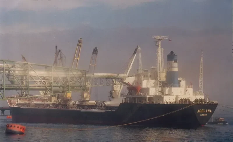 ADELINA Bulk Carrier IMO 7714090