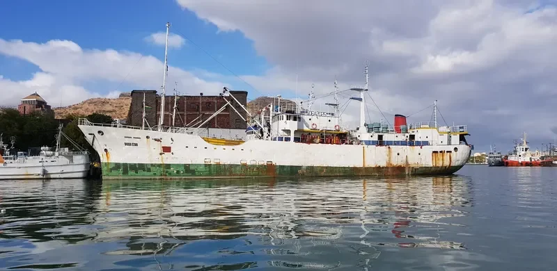 DIEGO STAR General Cargo IMO 7714272 photo 2