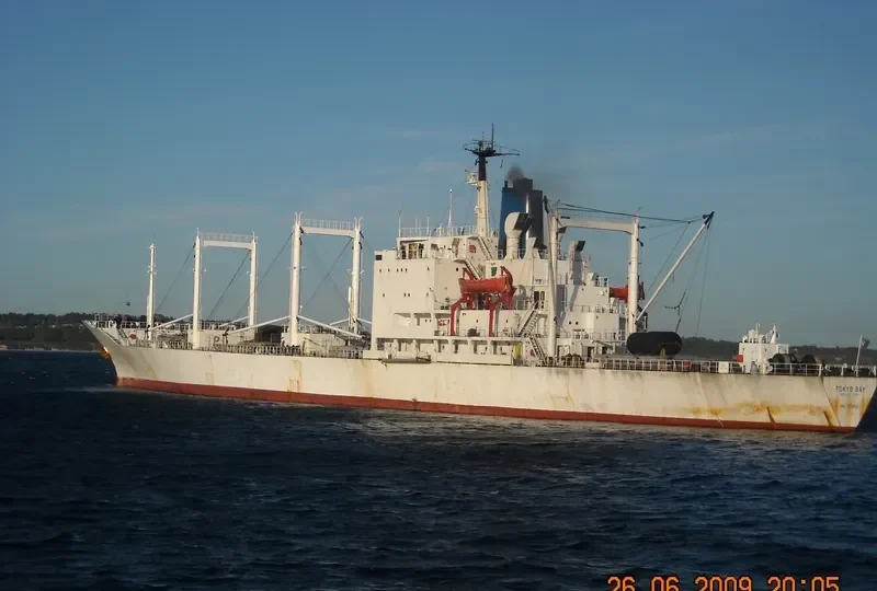 TOKYO BAY General Cargo IMO 7714521