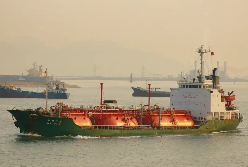 NEW WAVE General Cargo IMO 7714545 photo 3