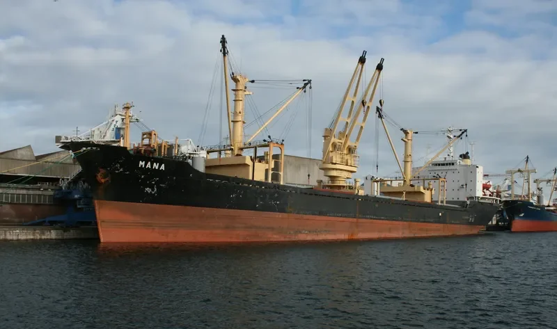 MANA General Cargo IMO 7714739 photo 4