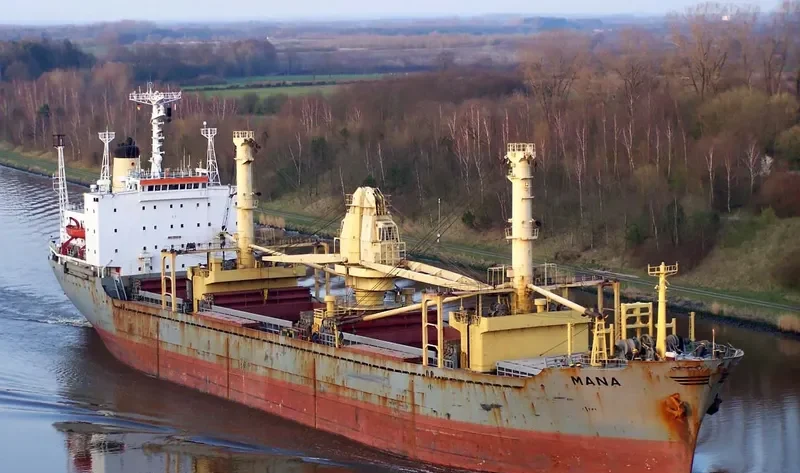 MANA General Cargo IMO 7714739 photo 7