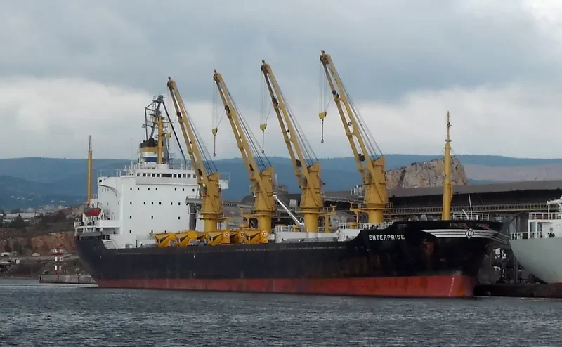 OCEANLINE II Bulk Carrier IMO 7714753 photo 2