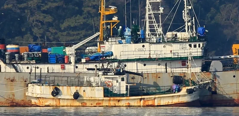 KALAN General Cargo IMO 7715305