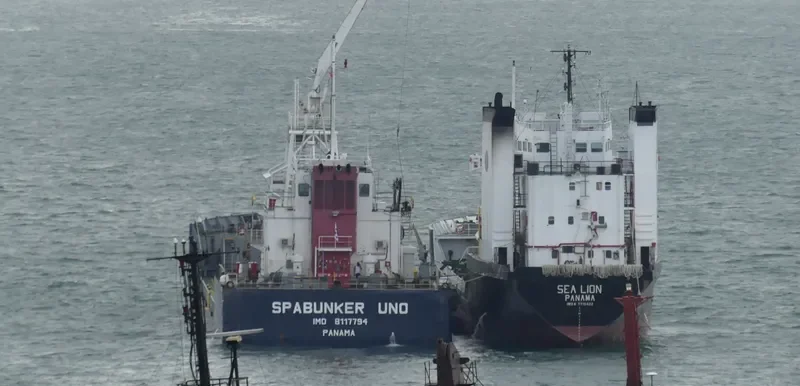 SEA LION Tanker IMO 7715422
