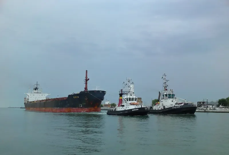 EIREN Bulk Carrier IMO 7716153