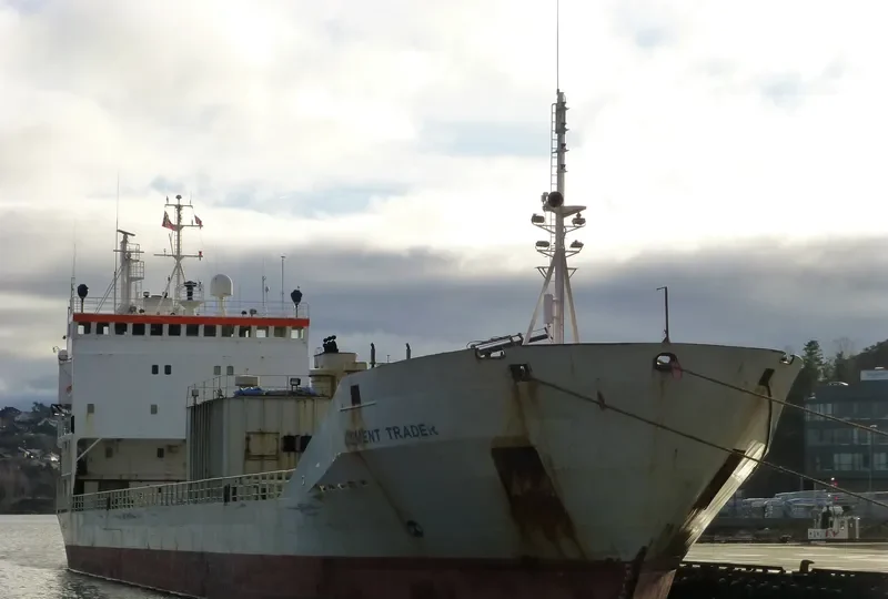CEMENT TRADER General Cargo IMO 7716763 photo 3