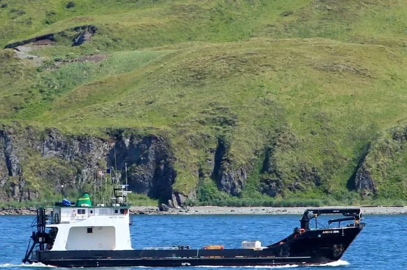 ARCTIC SEAL General Cargo IMO 7716945