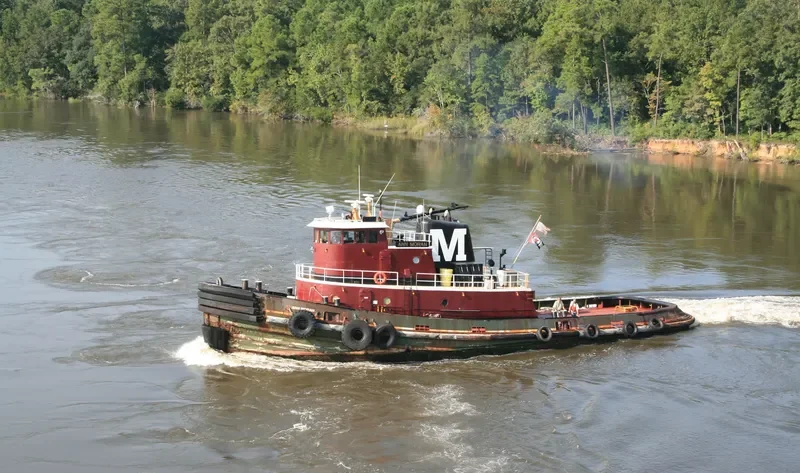ANN MORAN General Cargo IMO 7716983 photo 2