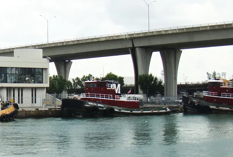 DOROTHY MORAN General Cargo IMO 7716995 photo 6