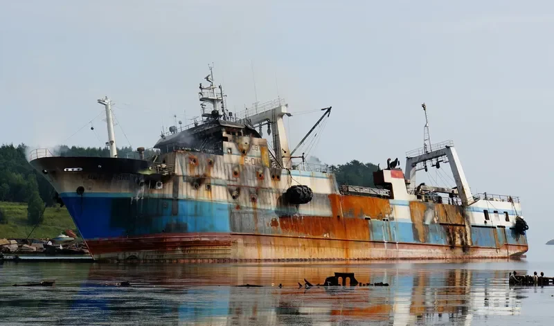 MYS ELIZAVETY General Cargo IMO 7717016 photo 7