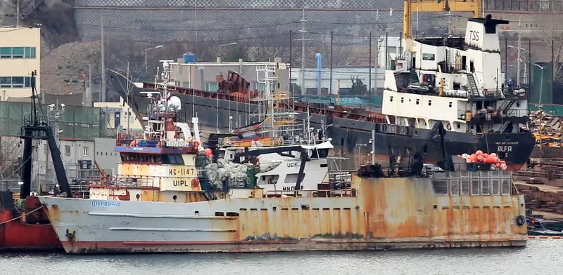 SJOVIND General Cargo IMO 7717092 photo 5