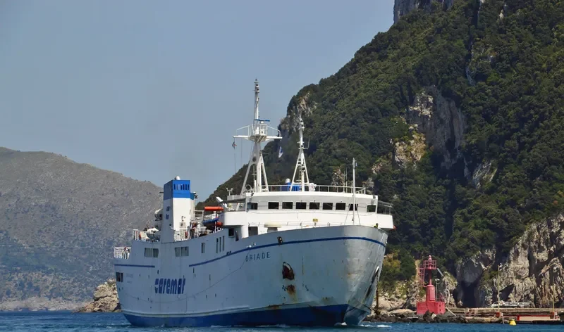 DRIADE Ro-Ro IMO 7717303 photo 5