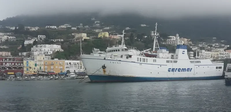 FAUNO Ro-Ro IMO 7717315 photo 3
