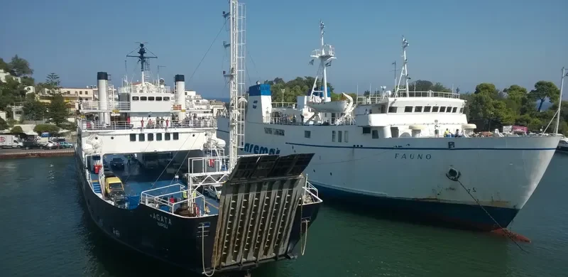FAUNO Ro-Ro IMO 7717315 photo 7