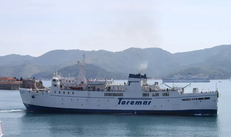 OGLASA Ro-Ro IMO 7717341 photo 8