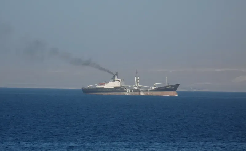 TRANS CARGO III General Cargo IMO 7717456