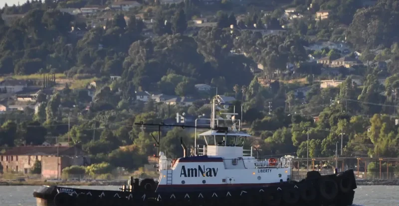 LIBERTY General Cargo IMO 7717626 photo 10