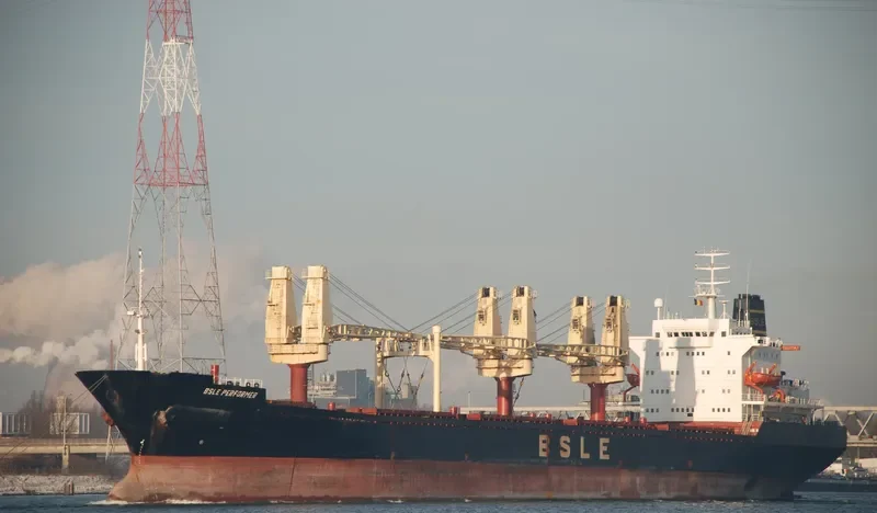 BSLE PERFORMER General Cargo IMO 7717731