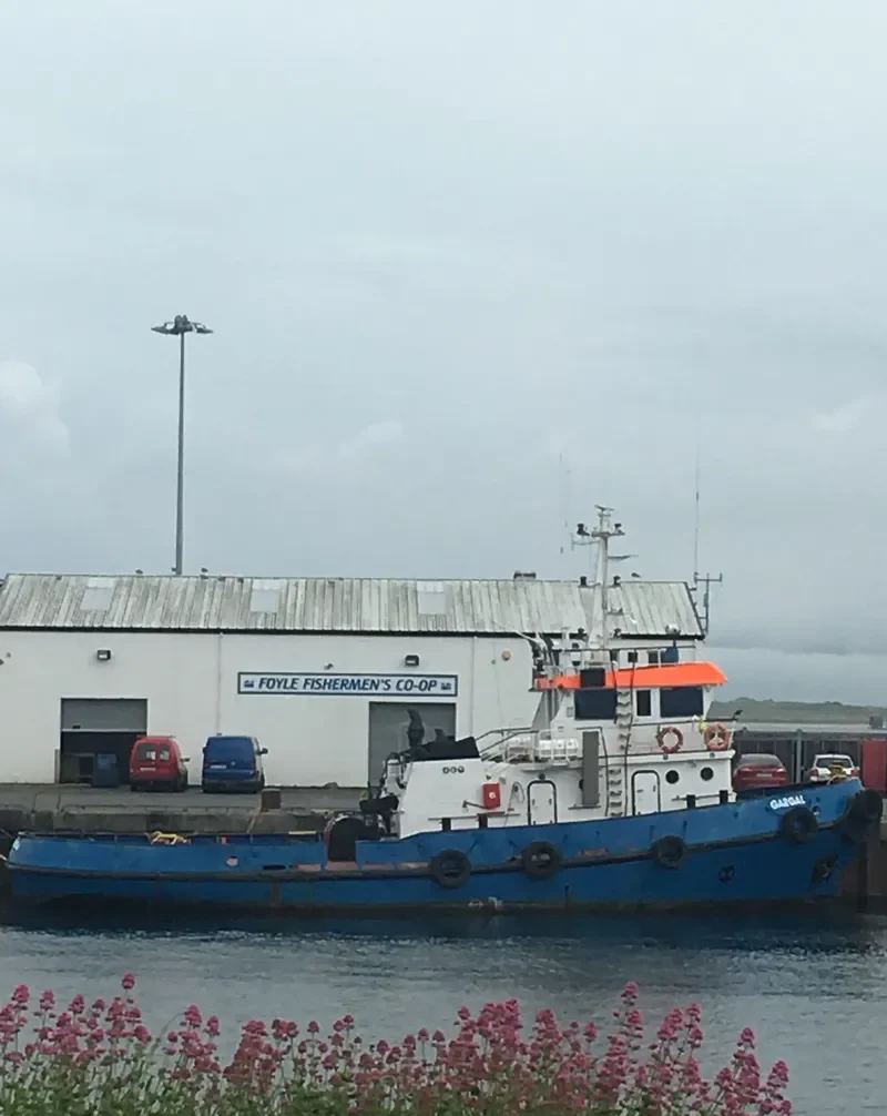GARGAL General Cargo IMO 7717846 photo 8