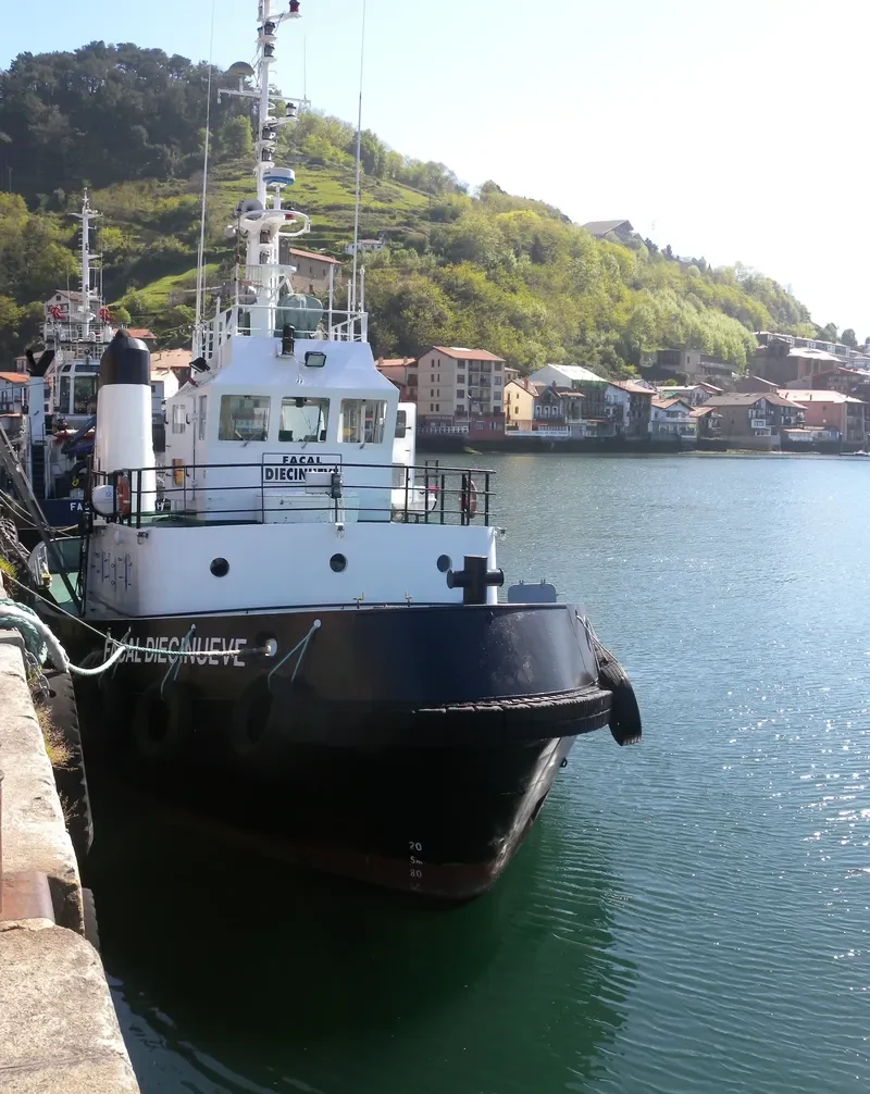 FACAL DIECINUEVE General Cargo IMO 7719064 photo 2